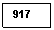 Rectangular Callout: 917