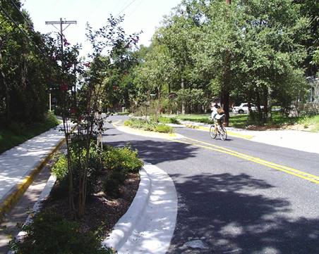 Image result for bicycle boulevard chicane